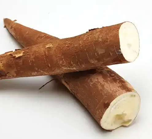 mandioca e1732531145641